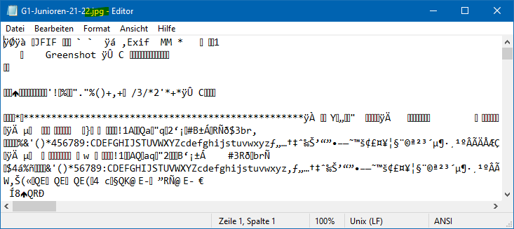 Binärdatei im Texteditor