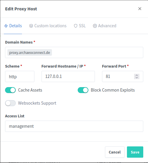 NGINX-Proxy-Manager: Eingabemaske für Proxy-Host, Detail-Tab