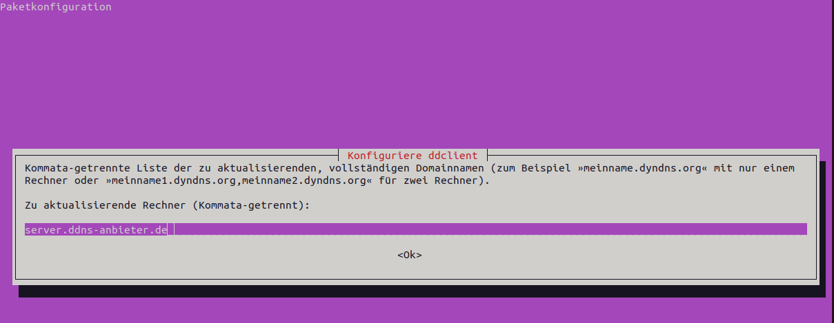Konfigurationsdialog von DDClient: eingabe des Domainnamens, als Platzhalter ist server.ddns-anbieter.de zu sehen