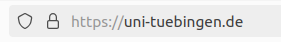 Browseradresszeile mit der Adresse https://uni-tuebingen.de. Durch ein Schlosssymbol wird die https-Verbindung dargestellt.